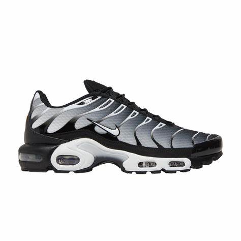 Nike Air Max Plus Black Silver White