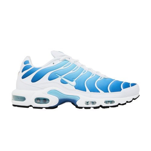 Nike Air Max Plus Sky Blue